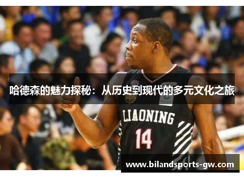 哈德森的魅力探秘：从历史到现代的多元文化之旅